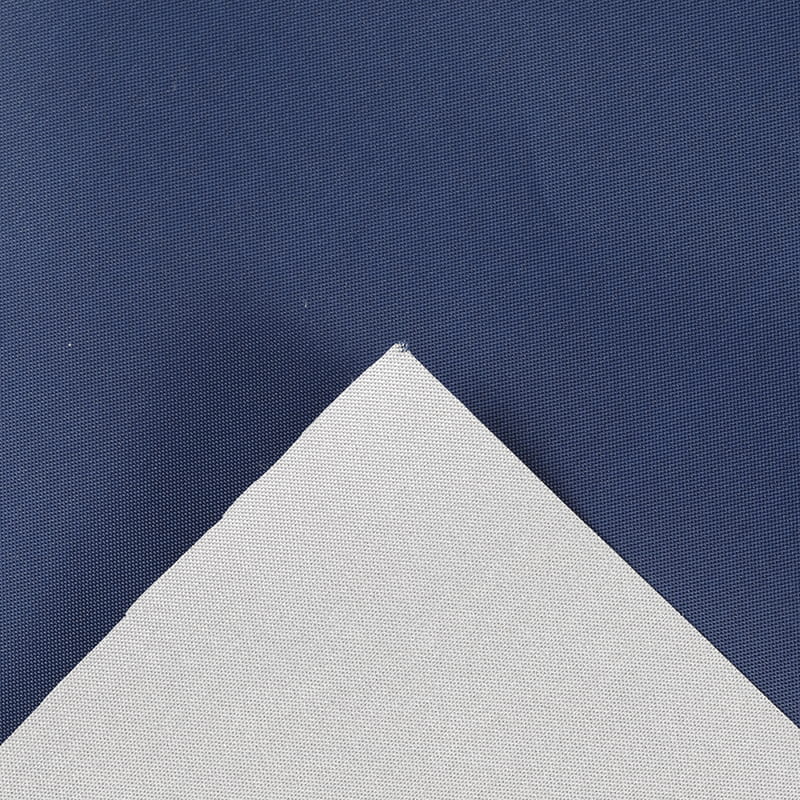 Taffeta màu phủ bạc-01