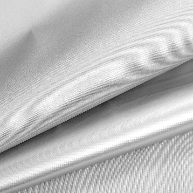 Màu Taffeta phủ bạc-07